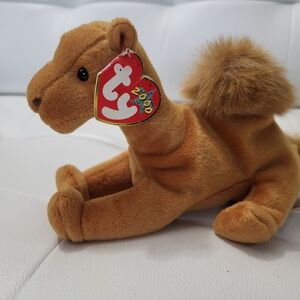 Ty " Niles" the Camel